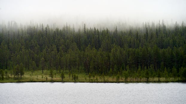 Anyword: What It Is and Who It's Really For