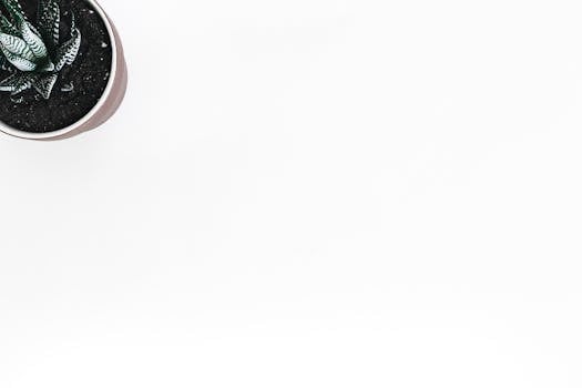 Hive Overview: The Underdog With Real Teeth