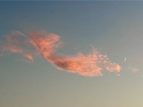 Pros and Cons: The Real Story